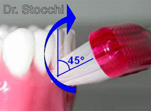 Studio dr. Marco Stocchi, spazzolino sulla superficie esterna degli incisivi