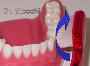Studio dr. Marco Stocchi, spazzolino sulla superficie esterna di molari e premolari