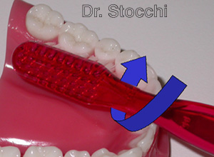 Studio dr. Marco Stocchi, spazzolino sulla superficie interna di molari e premolari